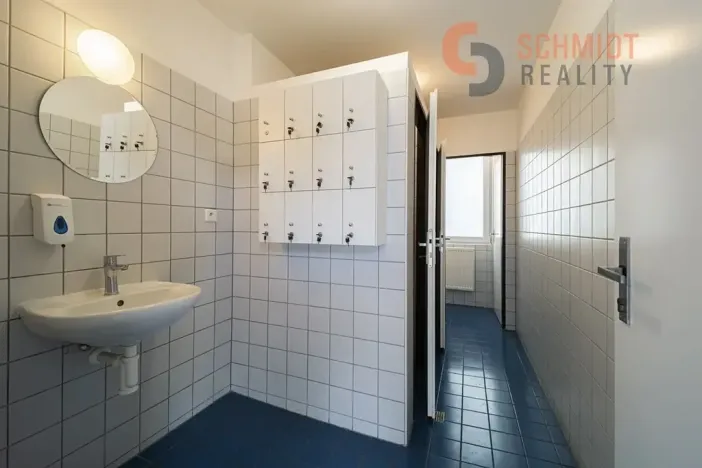 Pronájem kanceláře, Břeclav, Kančí obora, 30 m2