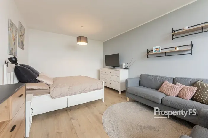 Prodej bytu 1+1, Brno - Lesná, Brožíkova, 37 m2