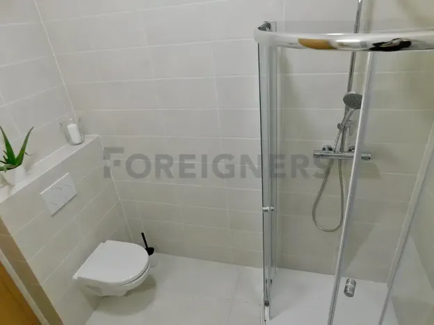 Pronájem bytu 2+kk, Plzeň, Hřímalého, 33 m2