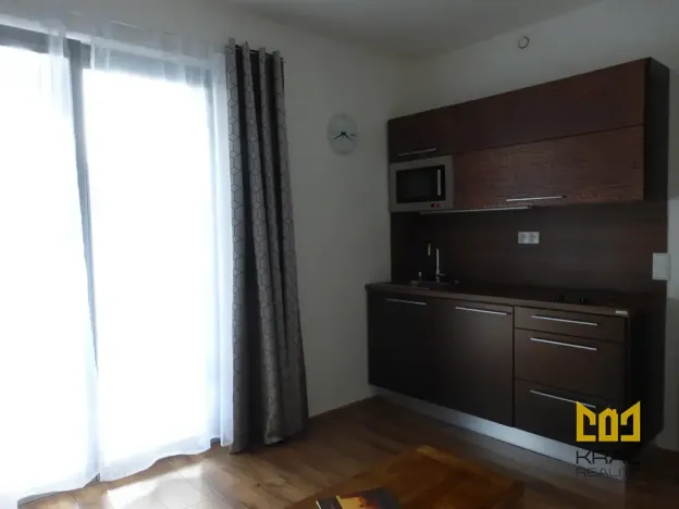 Pronájem bytu 1+kk, Praha - Žižkov, Hartigova, 24 m2