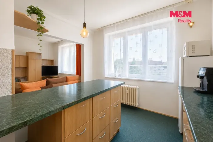 Prodej bytu 1+1, Pardubice - Zelené Předměstí, Devotyho, 37 m2