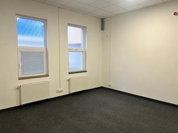 Pronájem výrobních prostor, Dalovice, Botanická, 550 m2