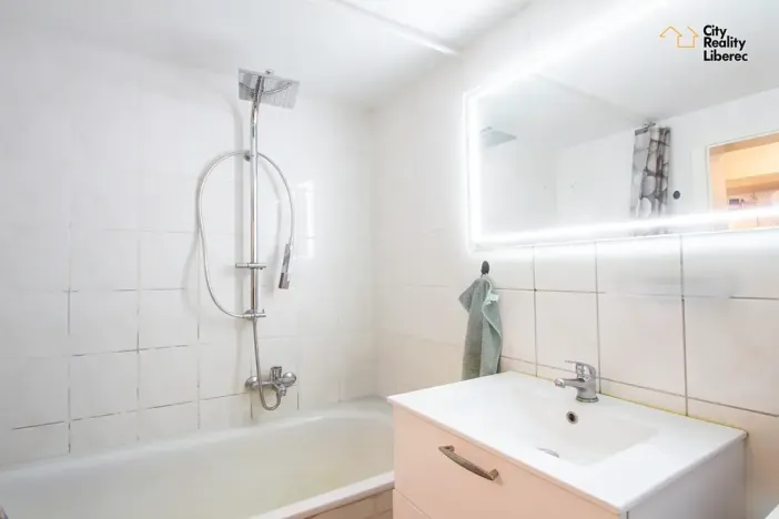Prodej vícegeneračního domu, Žitava, Německo, Reichenberger Straße, 340 m2