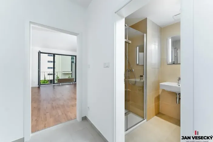Prodej bytu 1+kk, Plzeň, Železná, 32 m2
