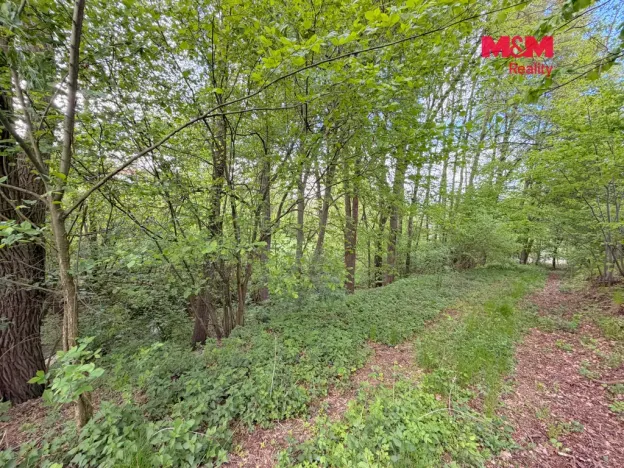 Prodej pozemku pro bydlení, Milešov, 2790 m2