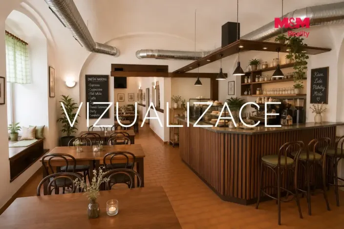 Pronájem obchodního prostoru, Skuteč, Vítězslava Nováka, 72 m2