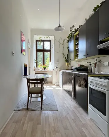 Pronájem bytu 1+1, Brno, Jana Uhra, 45 m2
