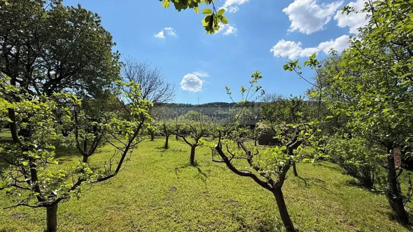 Prodej zahrady, Dlouhá Třebová, U Tří mostů, 703 m2