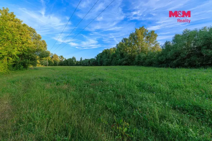 Prodej louky, Horní Bříza, 4590 m2