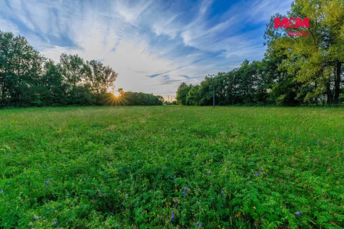 Prodej louky, Horní Bříza, 4590 m2