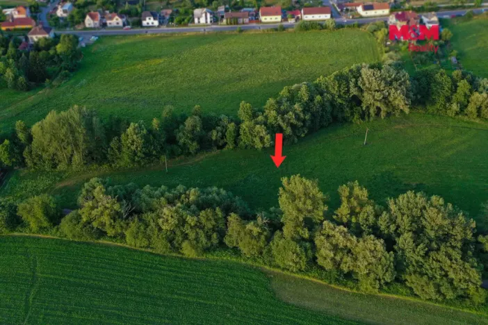 Prodej louky, Horní Bříza, 4590 m2