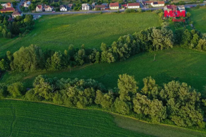 Prodej louky, Horní Bříza, 4590 m2