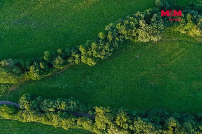 Prodej louky, Horní Bříza, 4590 m2