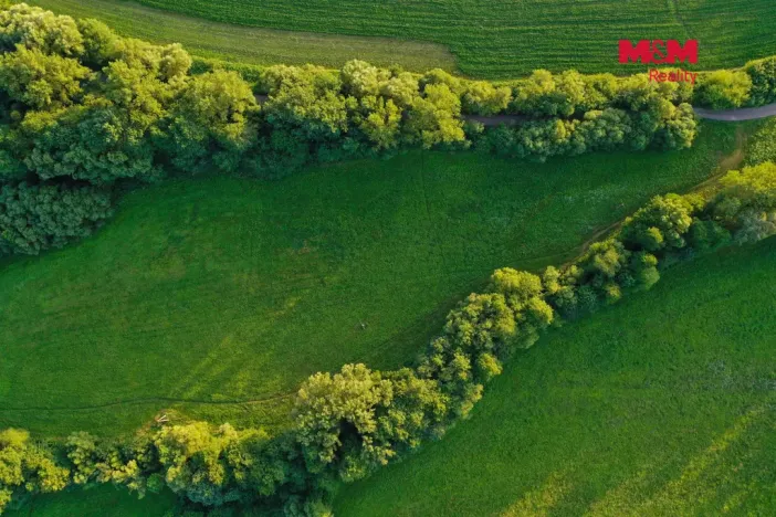 Prodej louky, Horní Bříza, 4590 m2