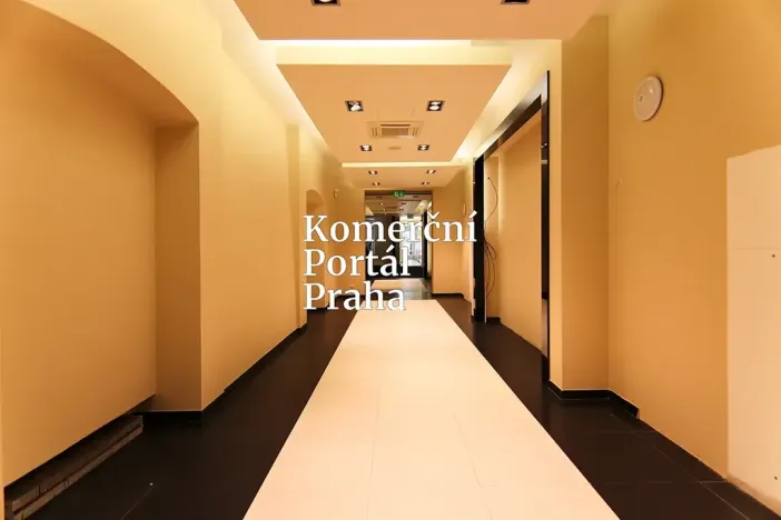 Pronájem restaurace, Praha - Nové Město, Václavské náměstí, 309 m2