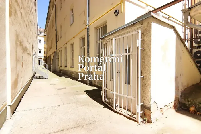 Pronájem obchodního prostoru, Praha - Nové Město, Václavské náměstí, 309 m2