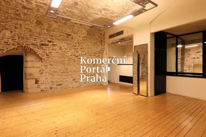 Pronájem obchodního prostoru, Praha - Nové Město, Václavské náměstí, 309 m2