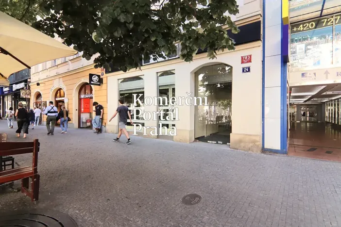 Pronájem obchodního prostoru, Praha - Nové Město, Václavské náměstí, 309 m2