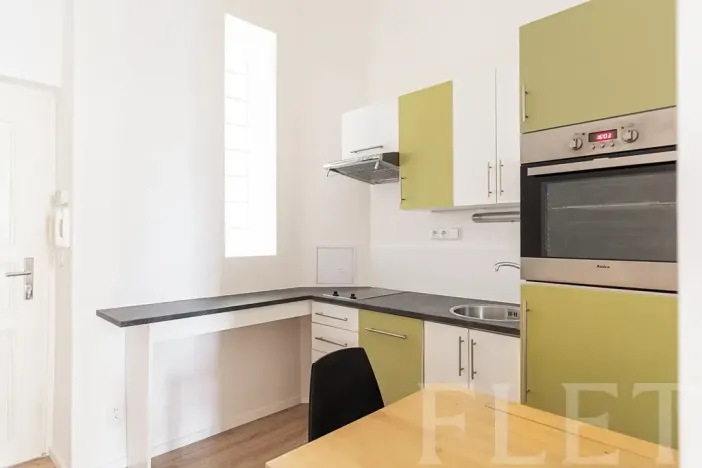 Pronájem bytu 1+1, Praha - Holešovice, Kamenická, 45 m2