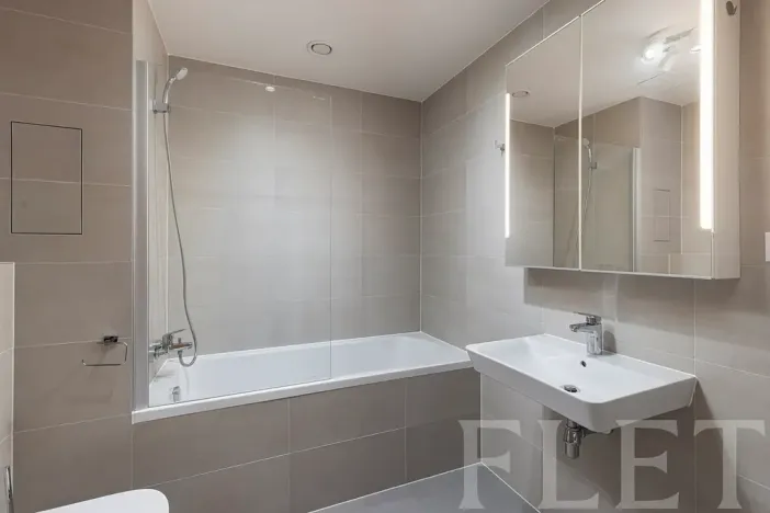 Pronájem bytu 2+kk, Praha - Holešovice, Argentinská, 52 m2
