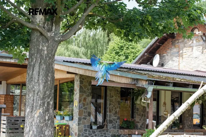Prodej zemědělské usedlosti, Lipová-lázně, 871 m2