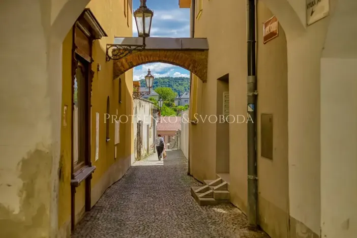 Prodej vily, Hranice, Teplická, 219 m2