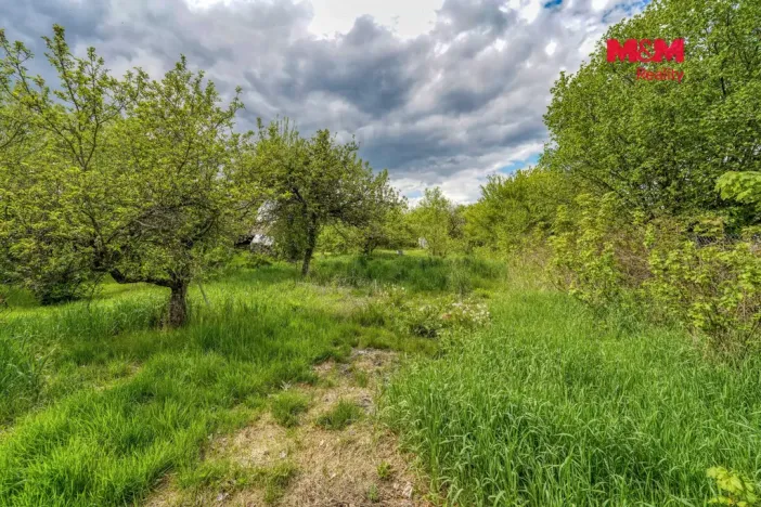 Prodej zemědělské usedlosti, Neurazy - Soběsuky, 138 m2