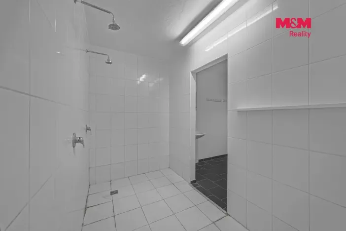 Prodej obchodního prostoru, Hradec Králové - Pražské Předměstí, Seydlerova, 195 m2