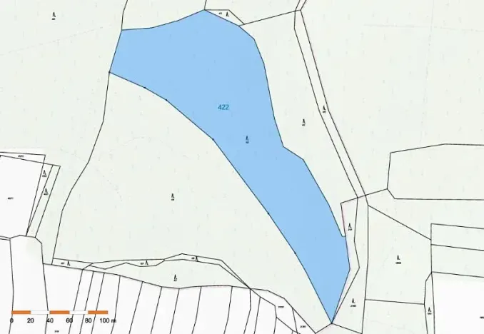 Prodej lesa, Chýstovice, 24882 m2