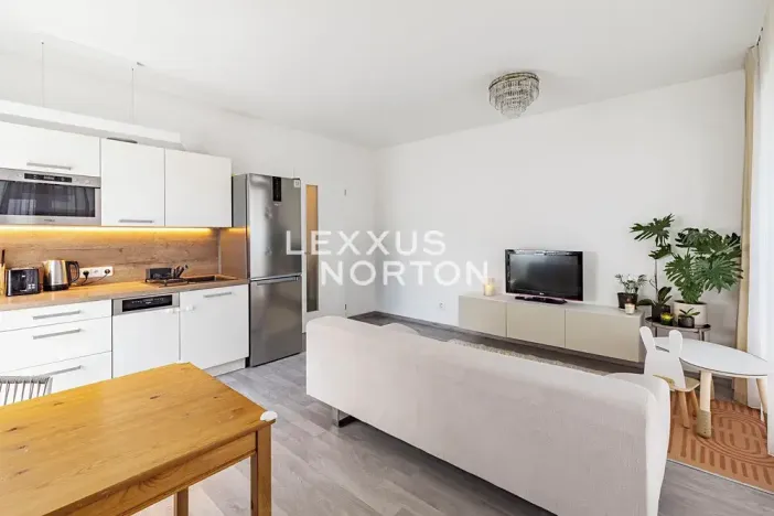Prodej bytu 2+kk, Praha - Žižkov, Olgy Havlové, 53 m2