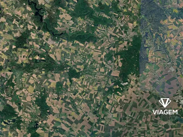 Prodej podílu lesa, Rybníky, 2697 m2