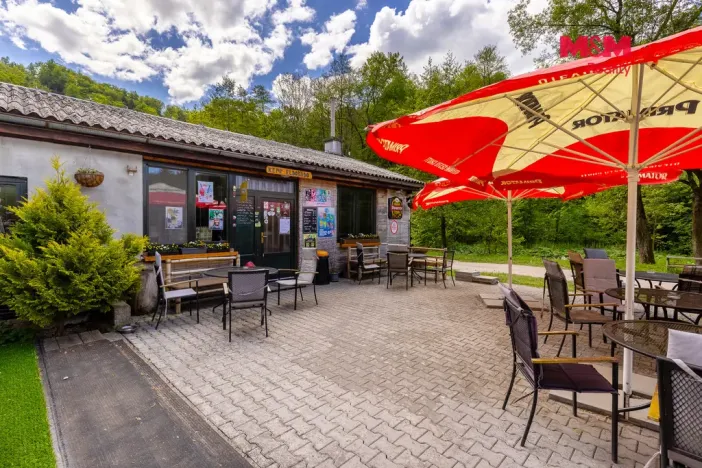 Prodej restaurace, Záchlumí - Litice nad Orlicí, 16967 m2