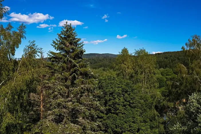 Prodej bytu 2+1, Železná Ruda, 55 m2