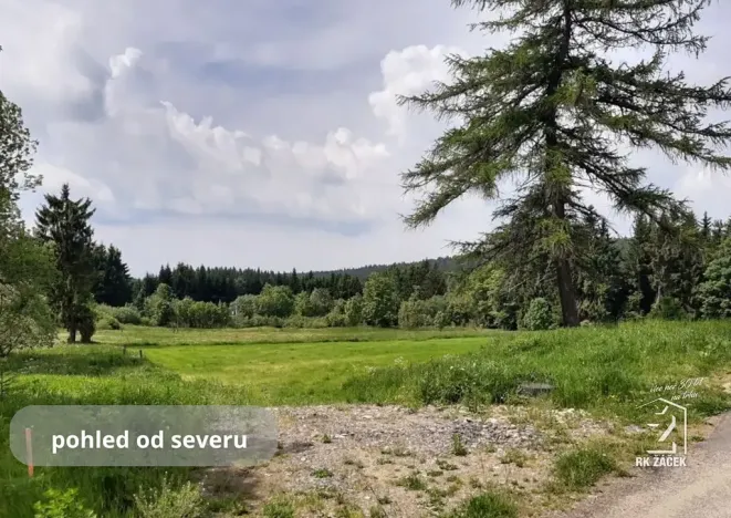 Prodej pozemku pro bydlení, Přední Výtoň, Svatý Tomáš, 2479 m2
