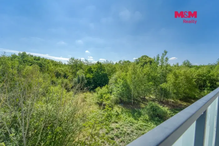 Pronájem bytu 3+kk, Plzeň, Na Průhonu, 92 m2