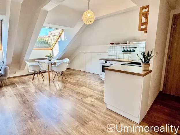 Pronájem bytu 1+kk, Praha - Vinohrady, Šrobárova, 50 m2