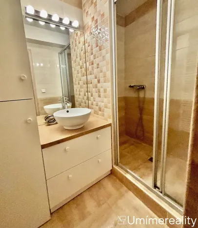 Pronájem bytu 1+kk, Praha - Vinohrady, Šrobárova, 50 m2