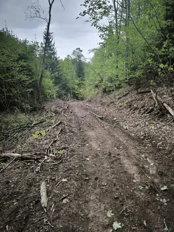 Prodej lesa, Horní Studénky, 31882 m2