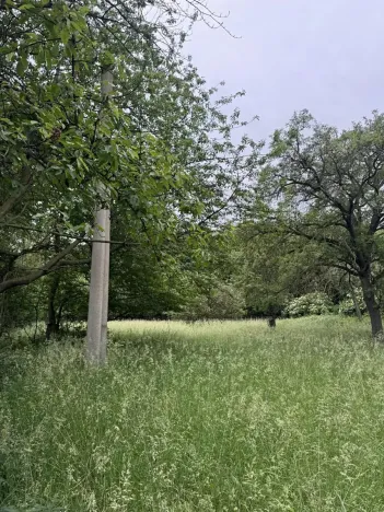 Prodej podílu lesa, Bílina, 2704 m2