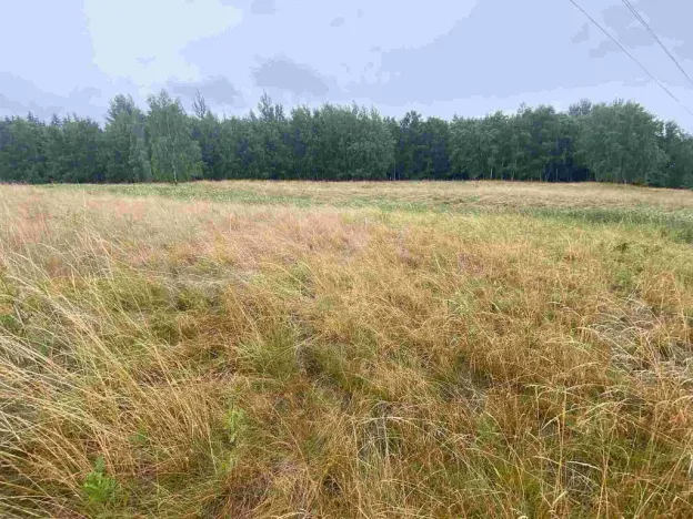 Prodej pole, Nové Sedlo - Loučky, 49321 m2