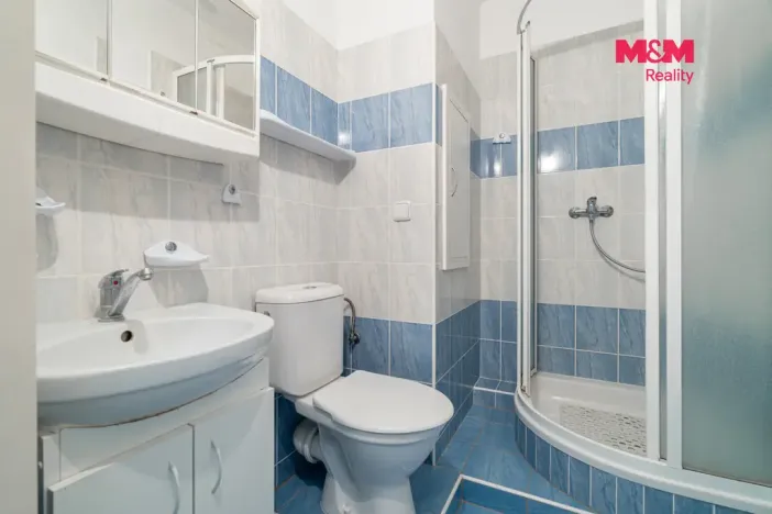 Prodej bytu 1+1, Olomouc - Nová Ulice, I. P. Pavlova, 35 m2