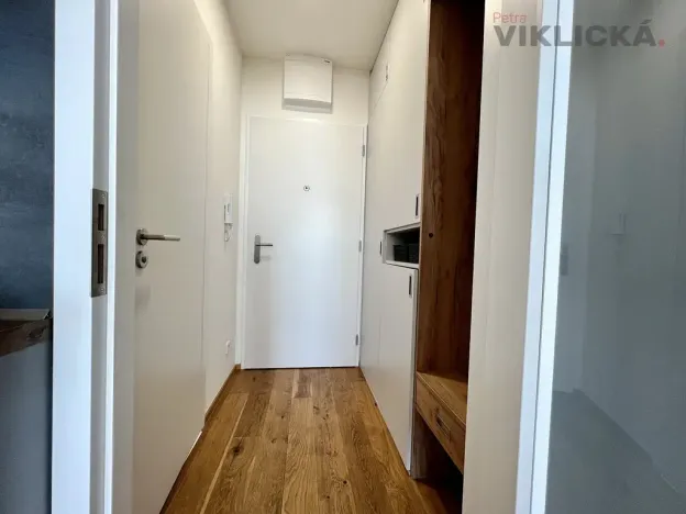 Pronájem bytu 1+kk, Praha - Vinohrady, Perucká, 27 m2