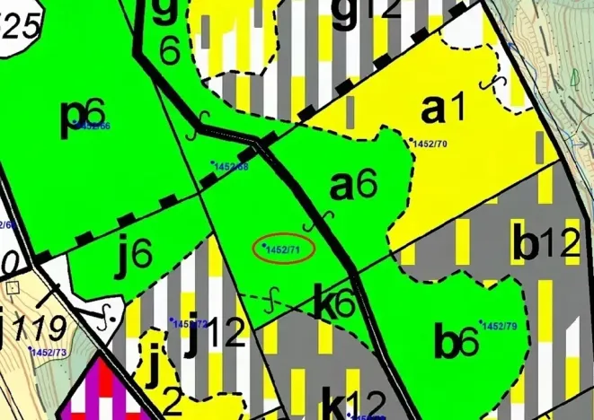 Dražba lesa, Horní Lomná, 6298 m2