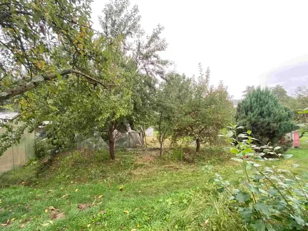 Dražba louky, Lužnice, 608 m2