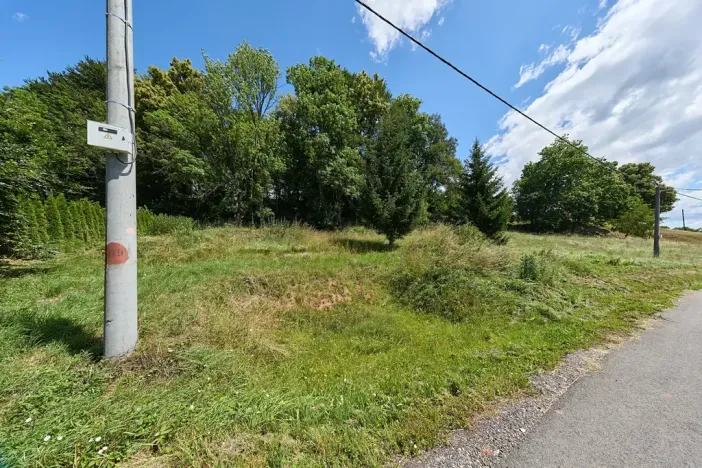 Prodej pozemku pro bydlení, Horní Olešnice, 1849 m2