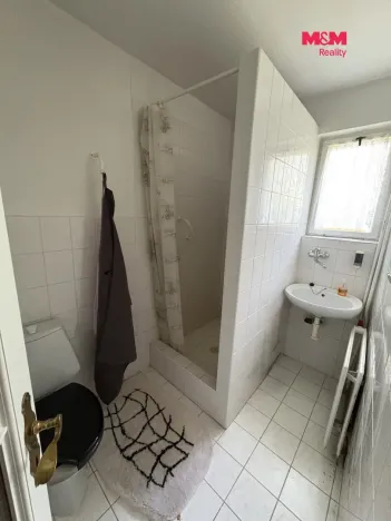Pronájem rodinného domu, Děčín - Děčín VI-Letná, Slovanská, 150 m2