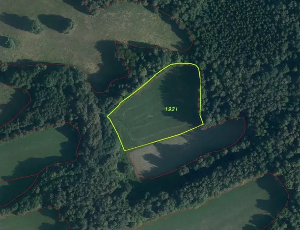 Prodej pozemku, Sobotín, 10593 m2