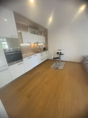 Pronájem bytu 1+kk, Praha - Břevnov, Nad Závěrkou, 35 m2
