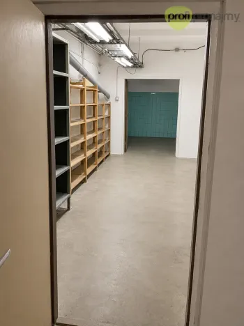 Pronájem skladu, Ostrava, Cihelní, 74 m2