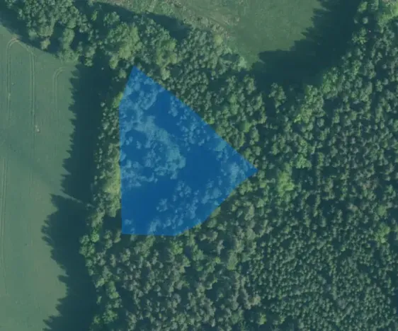 Dražba louky, Kynšperk nad Ohří, 52482 m2